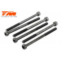 TORNILLOS 3X45 (6PCS)
