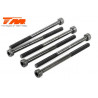 TORNILLOS 3X45 (6PCS)