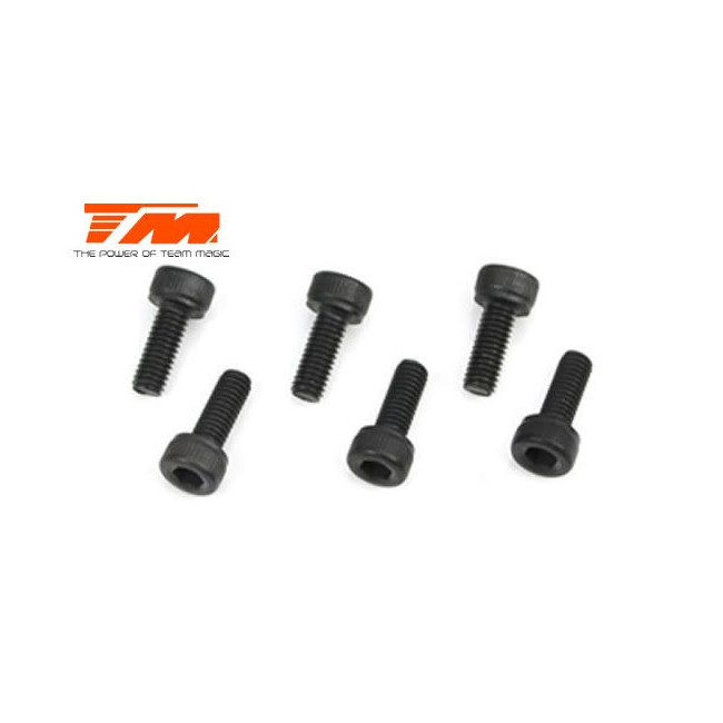 TORNILLOS 4X10 (6PCS)