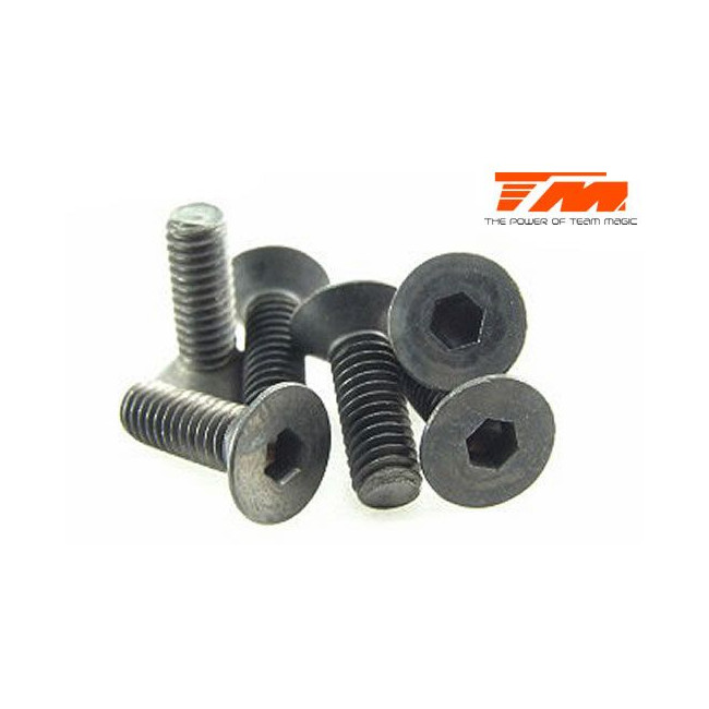 TORNILLOS 4X12 (6PCS)
