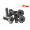 TORNILLOS 4X12 (6PCS)