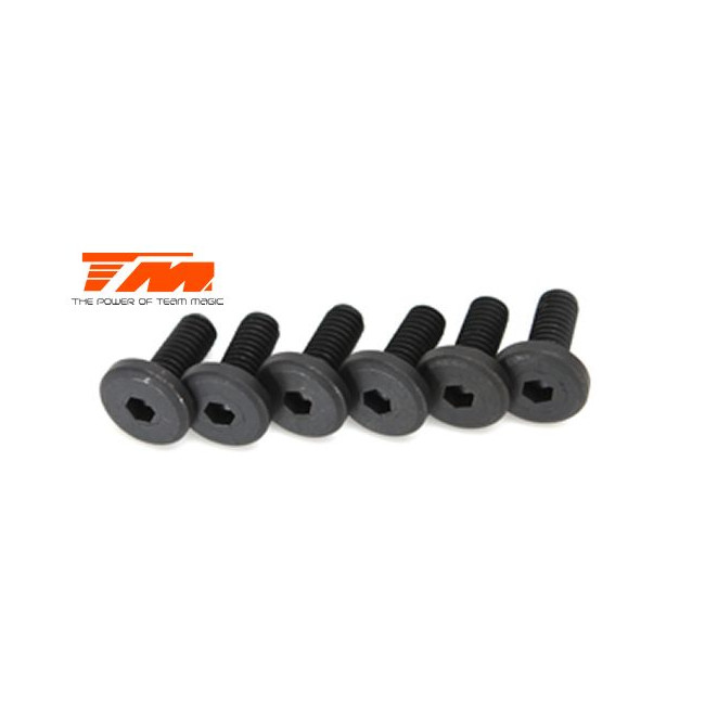 TORNILLOS CABEZA ANCHA PARA BANCADA MOTOR 4MM (6PC)
