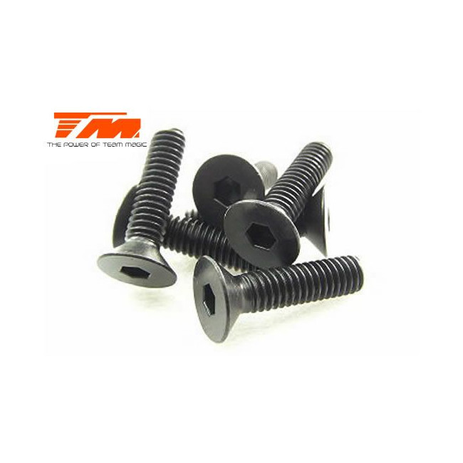 TORNILLOS 4X16 (6PCS)