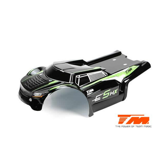 CARROCERÍA PINTADA NEGRA VERDE E5