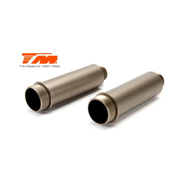 CUERPOS AMORTIGUADORES TRASEROS B8