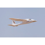 AVIÓN EASY TRAINER 1280 RTF (LISTO PARA VOLAR)