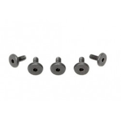 TORNILLOS CABEZA GRANDE 3X8MM (5PCS)