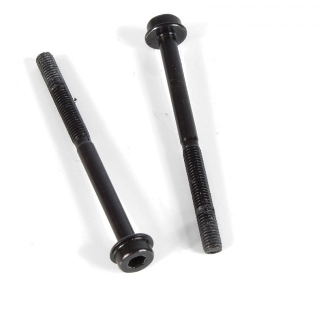 TORNILLOS 5X55MM MOTOR GASOLINA 1/5