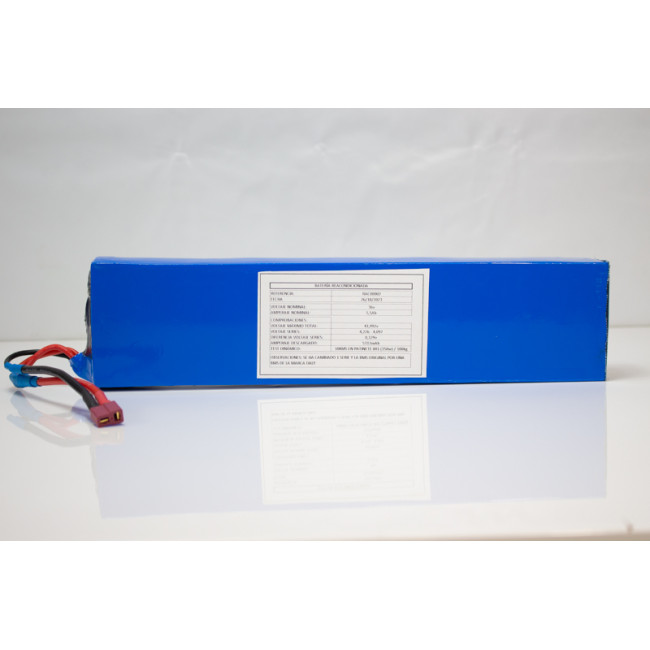 BATERÍA REACONDICIONADA 36V 5.5Ah PATINENTE / BICI ELÉCTRICA