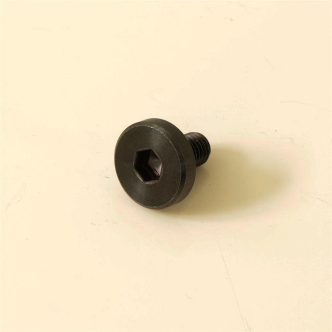 TORNILLO BRAZO SUSPENSIÓN M10 / M10PRO