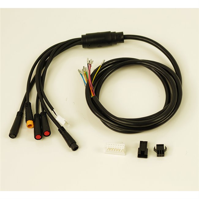 CABLE CONEXION PRINCIPAL GT II+