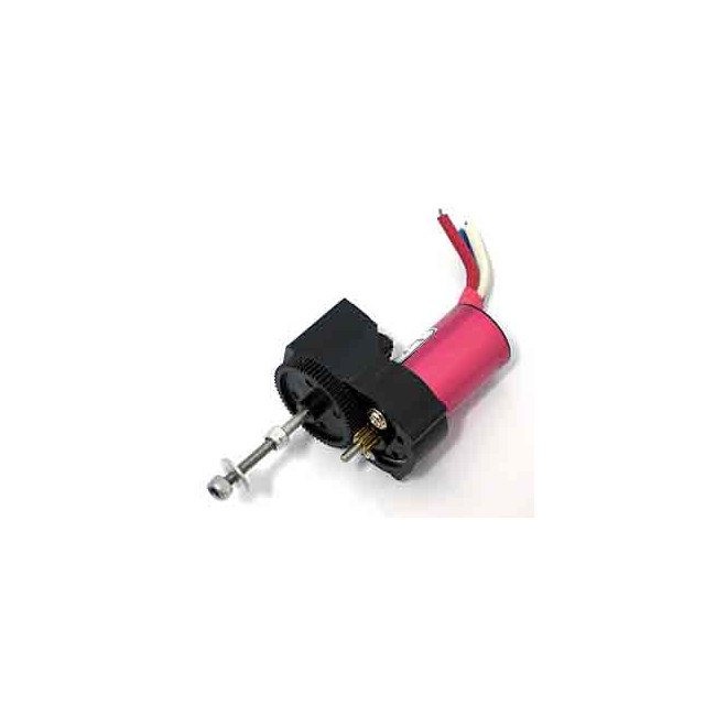 Motor Bruslhess in Runner con reductora 0254