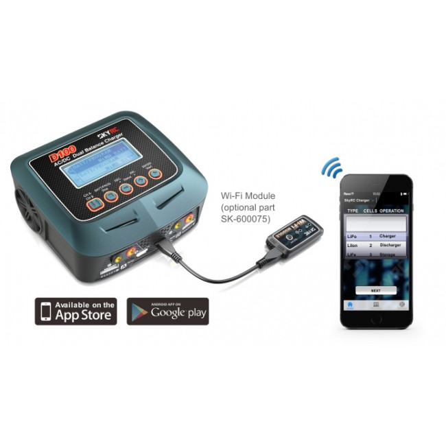 Cargador D100 Dual AC/DC y Descargador