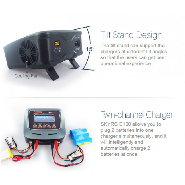 Cargador D100 Dual AC/DC y Descargador
