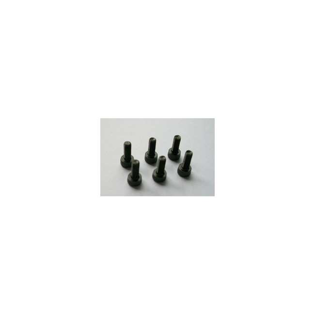 TORNILLOS ALLEN 3X10 6PCS
