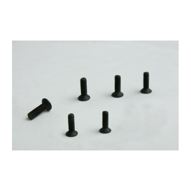 TORNILLOS CABEZA AVELLANADA  CHAPA 3X11 6PCS