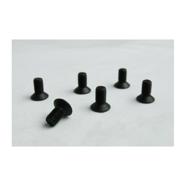 TORNILLOS CABEZA AVELLANADA  M. 5X10 6PCS