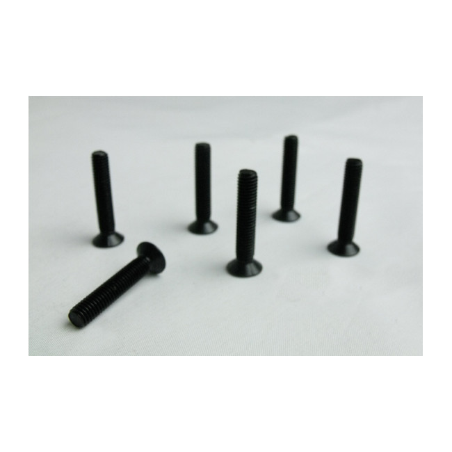 TORNILLOS CABEZA AVELLANADA  M. 5X27 6PCS