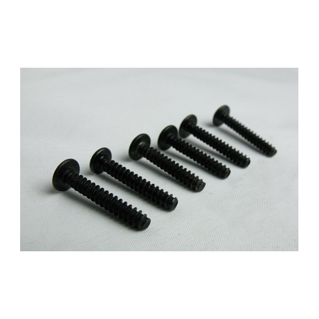 TORNILLOS CABEZA AVELLANADA  CHAPA 2X25 6PCS