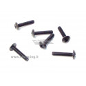 TORNILLOS CABEZA RESONDA M. 5X15 6PCS