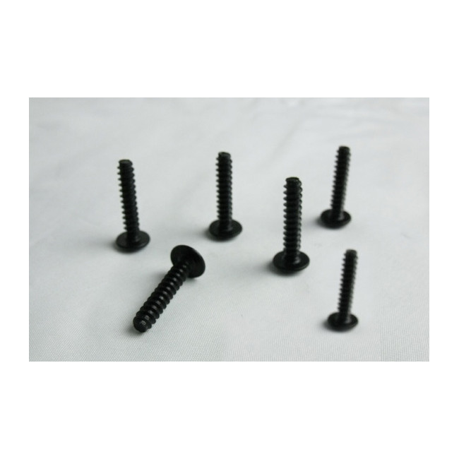 TORNILLOS CABEZA REDONDA CHAPA 4X20 6PCS