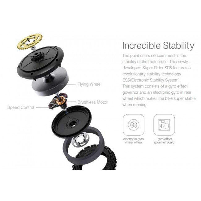 MOTO RC DIRT BIKE SR5 SKYRC CON MOTOR BRUSHLESS COMPLETA