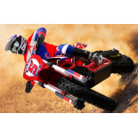 MOTO RC DIRT BIKE SR5 SKYRC CON MOTOR BRUSHLESS COMPLETA