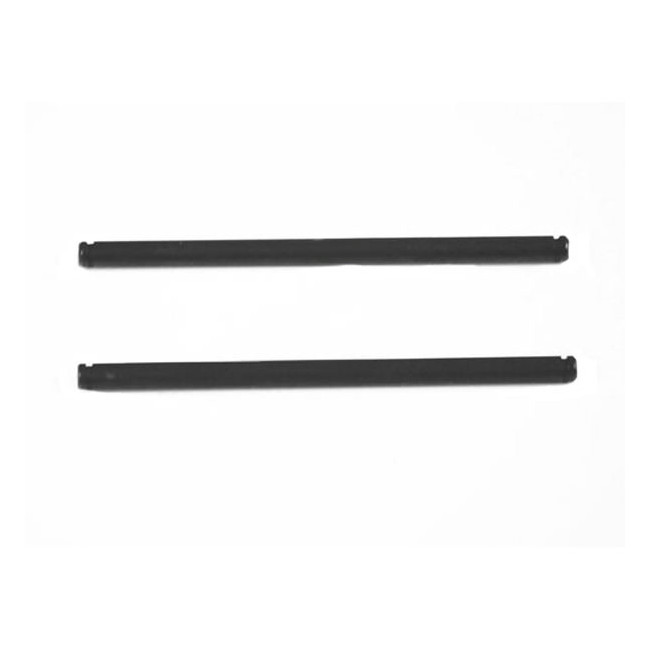 Pasadores trapecios inferiores traseros 1/10